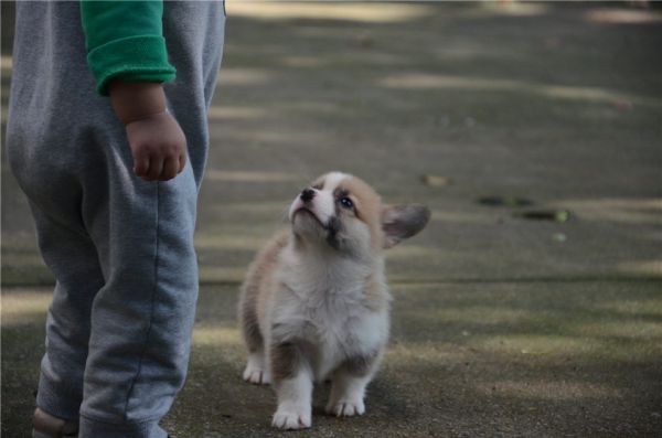 DSC_5941.JPG