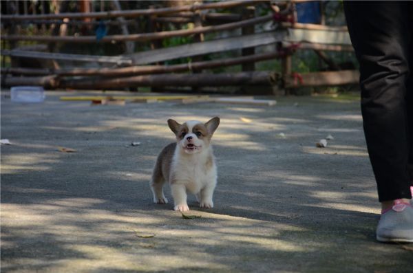 新建文件夹 (2)DSC_6101.JPG
