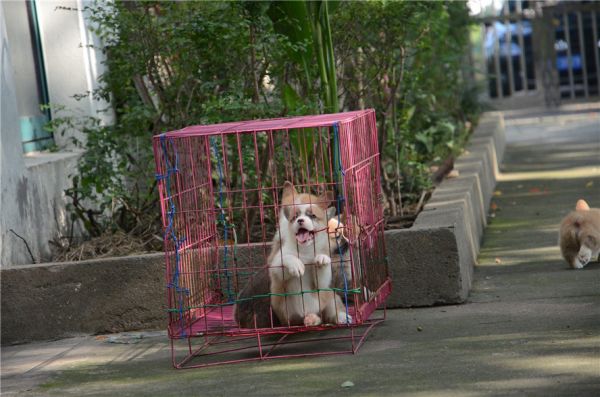 新建文件夹 (2)DSC_6711.JPG