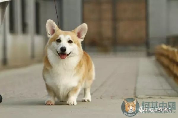 160931ju8nnuui41u921vn.jpg