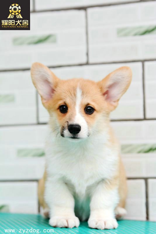 DSC_4848_副本.jpg