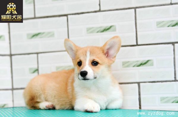 DSC_4858_副本.jpg