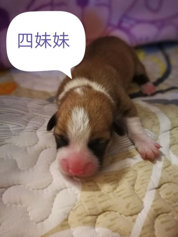 QQ图片20171015203023.jpg
