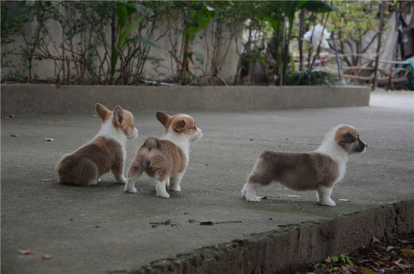 DSC_7513.jpg