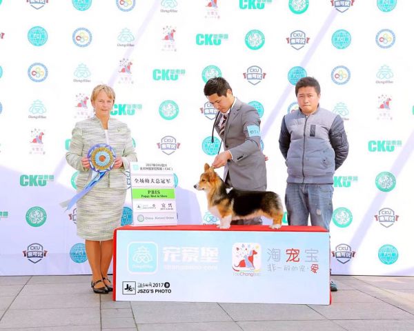 小虎2.jpg