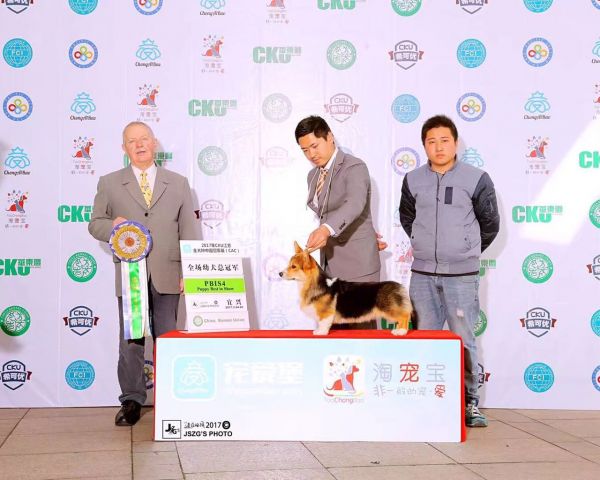 小虎3.jpg