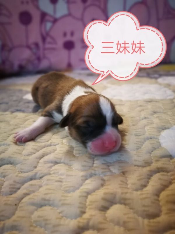 QQ图片20171015203033.jpg
