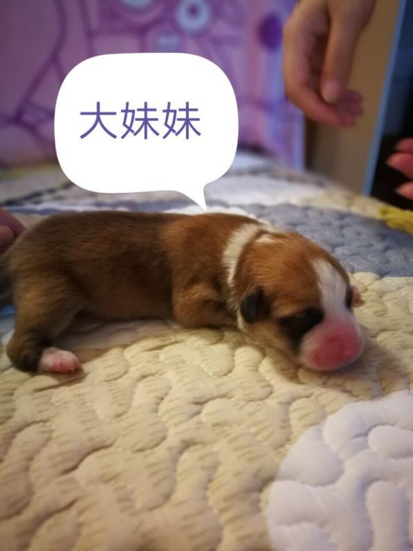 QQ图片20171015203051.jpg