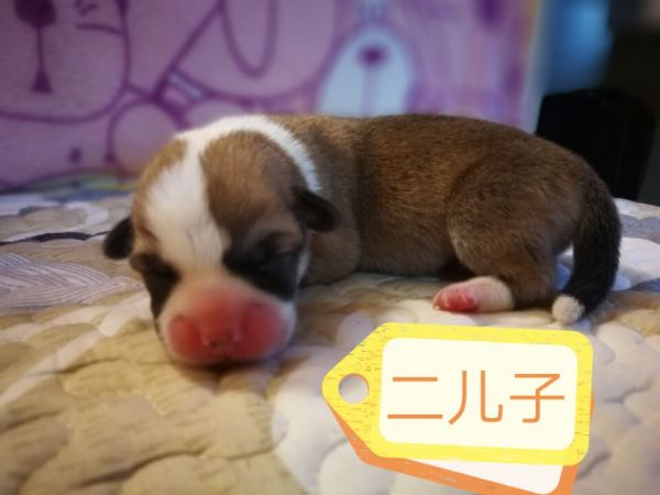 QQ图片20171015203055.jpg