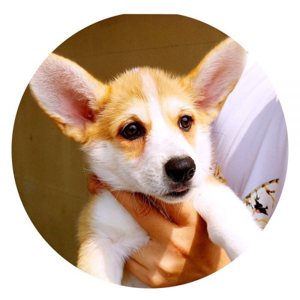 小母3.jpg