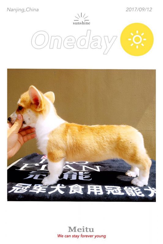 小母4.jpg