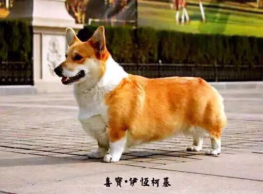 母亲1.jpg