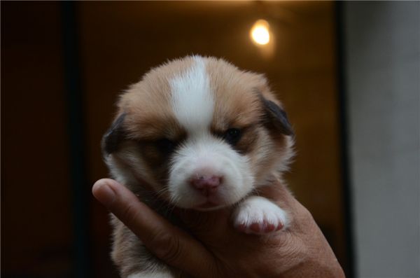 DSC_8005.jpg