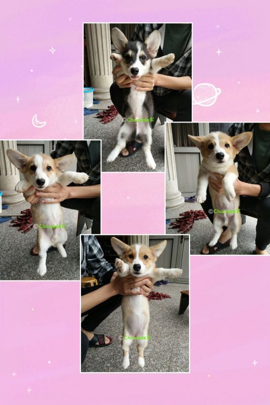 pt2017_10_16_00_59_09.jpg