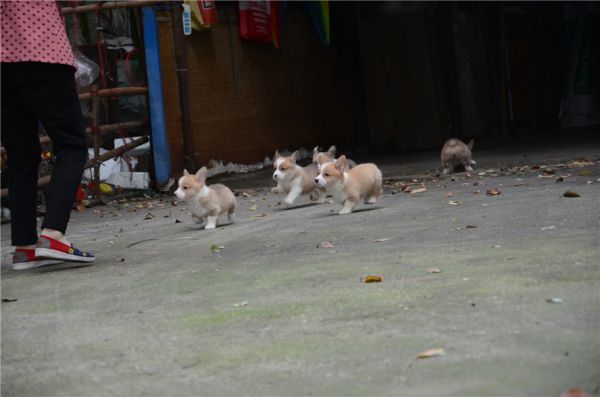 DSC_7427.jpg
