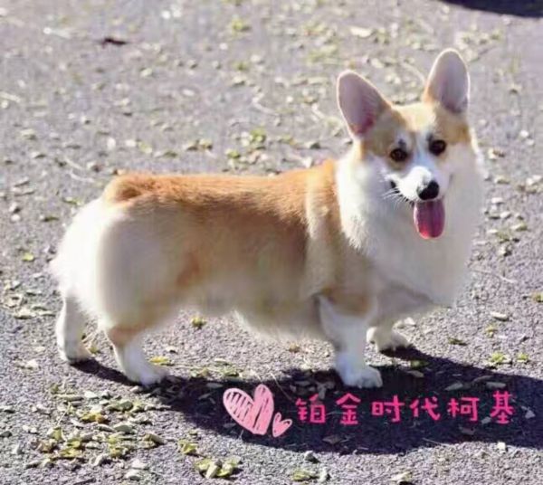 微信图片_20171017134748.jpg