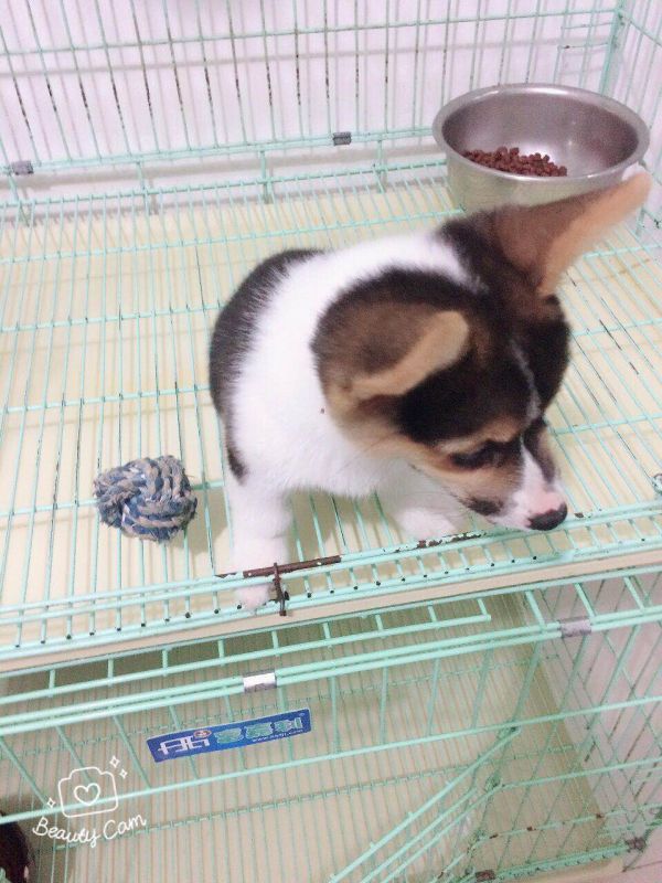 微信图片_20171017204538.jpg