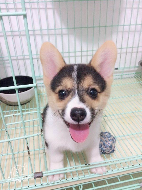 微信图片_20171017204551.jpg