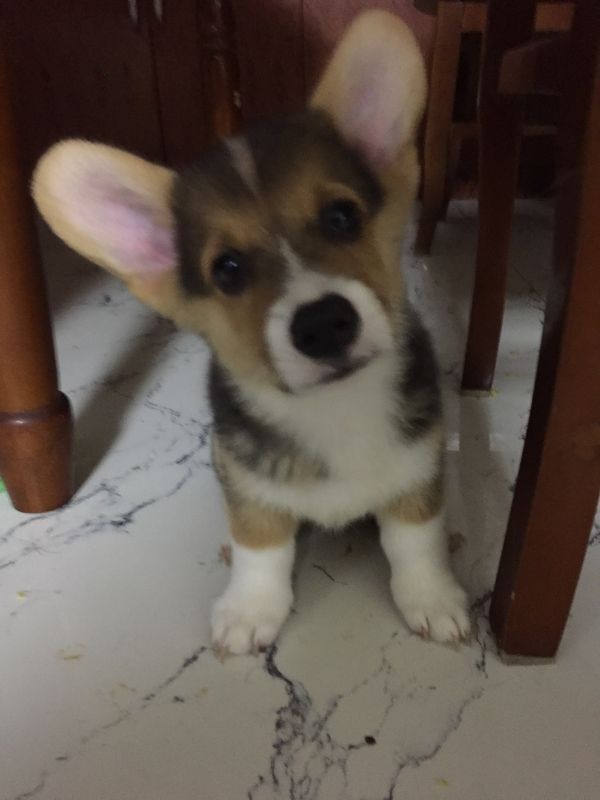 IMG_6729.JPG