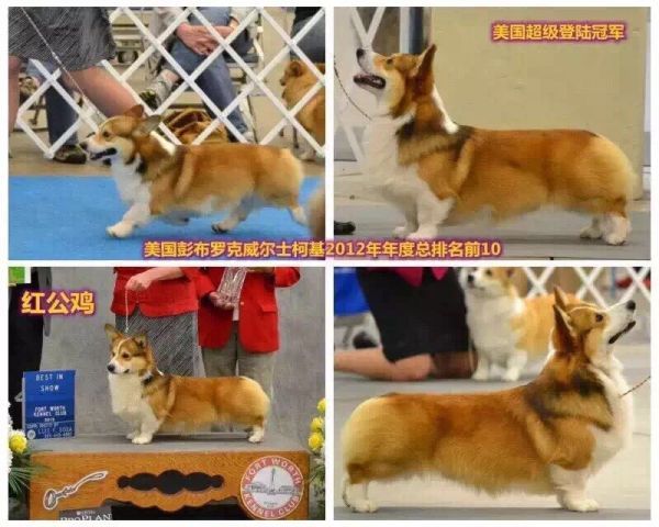 064427yhxj64rrrzjgtutz.jpeg.thumb.jpg