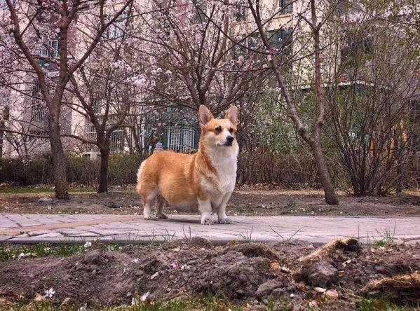 微信图片_20171019100529.jpg