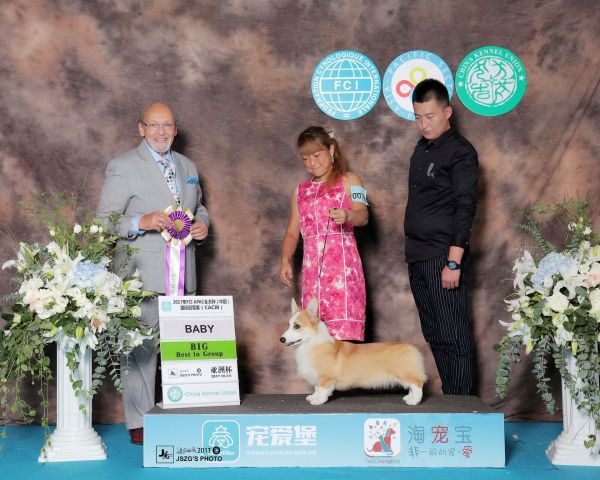 QQ图片20171010181636.jpg
