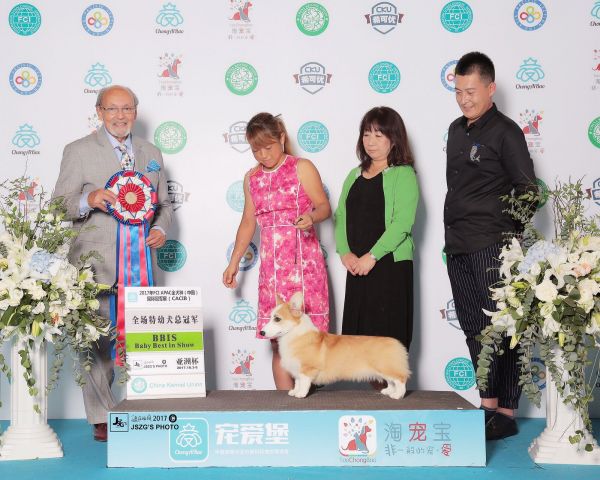 QQ图片20171010181642.jpg