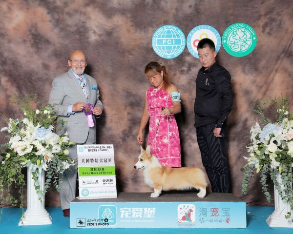 QQ图片20171010181649.jpg