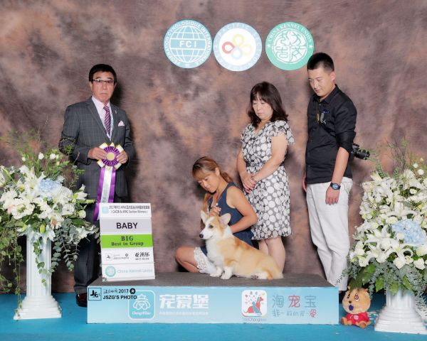 QQ图片20171010181551.jpg