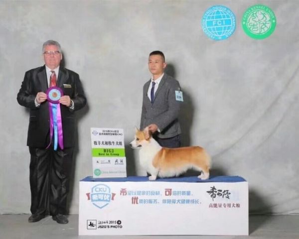 99.jpg