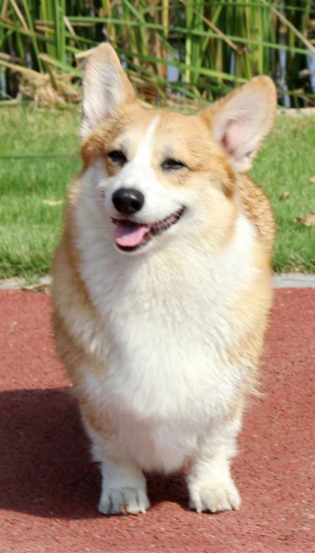 124.jpg