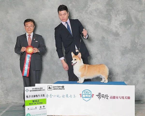 1003.jpg