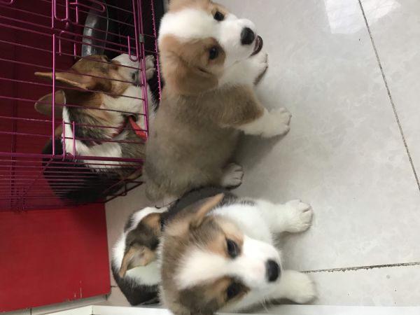 微信图片_20171022151640.jpg