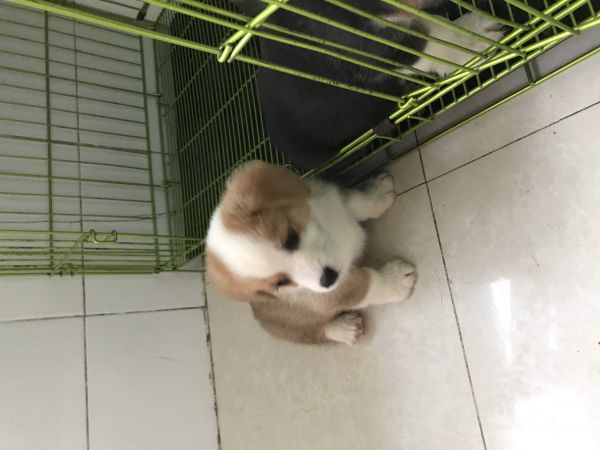 微信图片_20171022151644.jpg