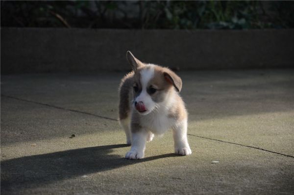 DSC_8392.jpg