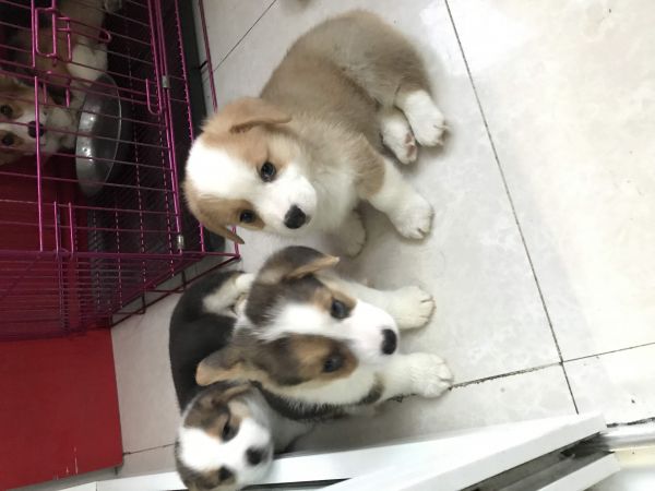 微信图片_20171022151655.jpg