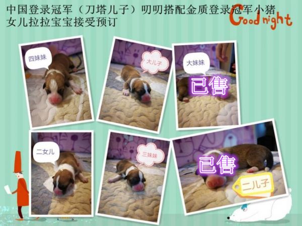 QQ圖片20171023101549_副本.jpg