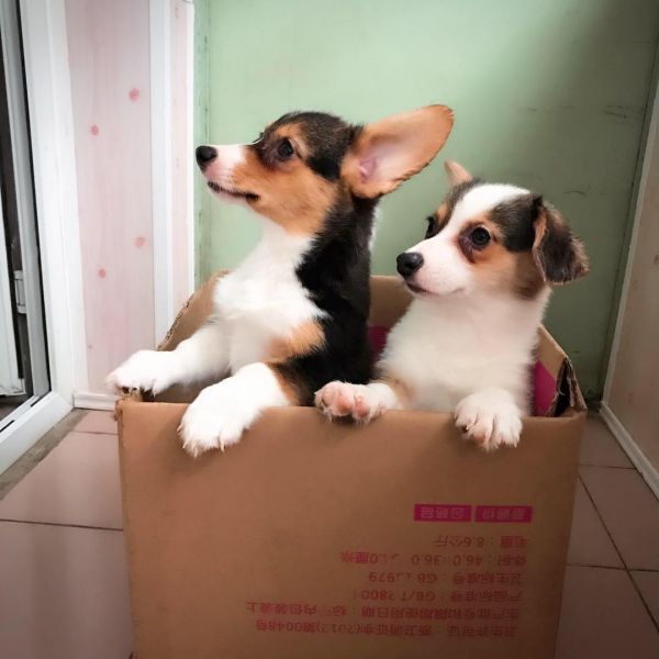 母1母2—1.jpg