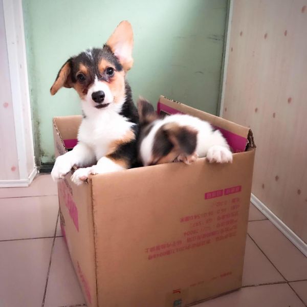 母1母2—3.jpg