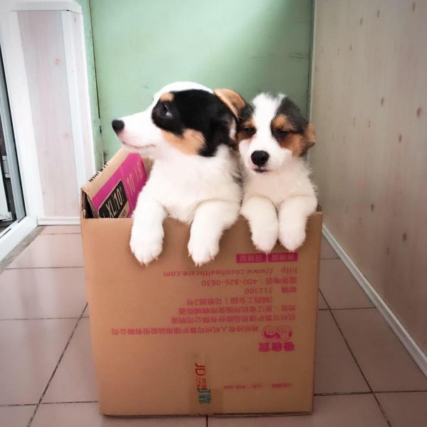 母3母4—2.jpg