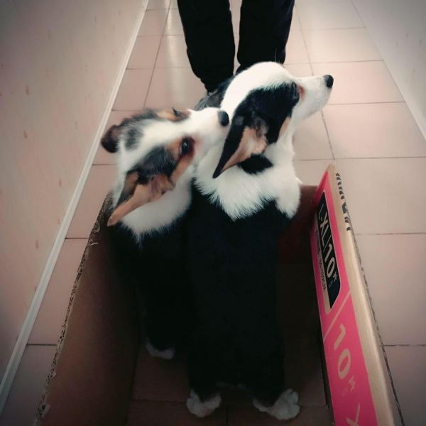 母3母4—7.jpg