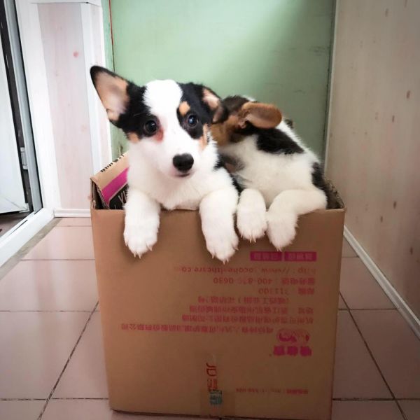 母3母4—1.jpg