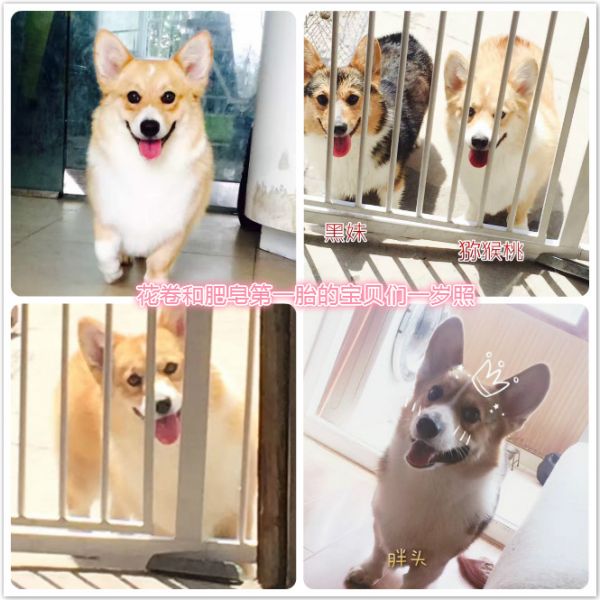 未命名_meitu_4.jpg