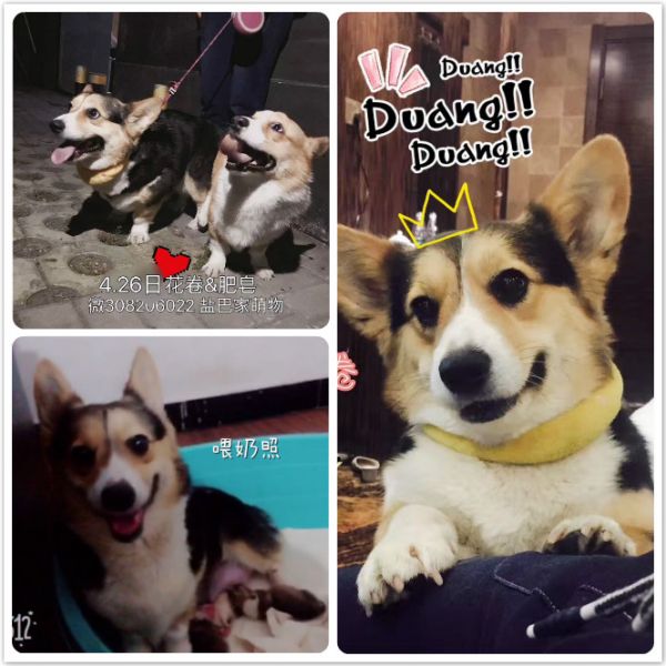 未命名_meitu_5.jpg