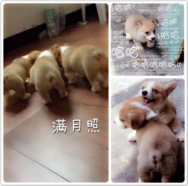 未命名_meitu_6.jpg