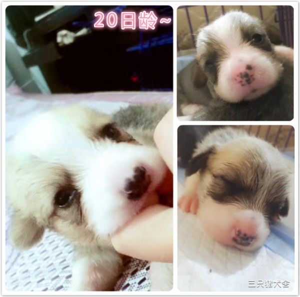 未命名_meitu_1.jpg