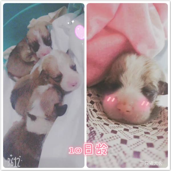 未命名_meitu_2.jpg
