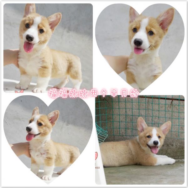 未命名_meitu_7.jpg