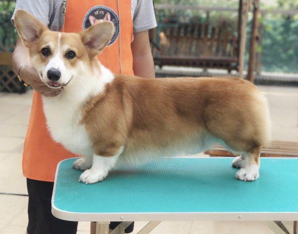 QQ图片20171026153528.jpg