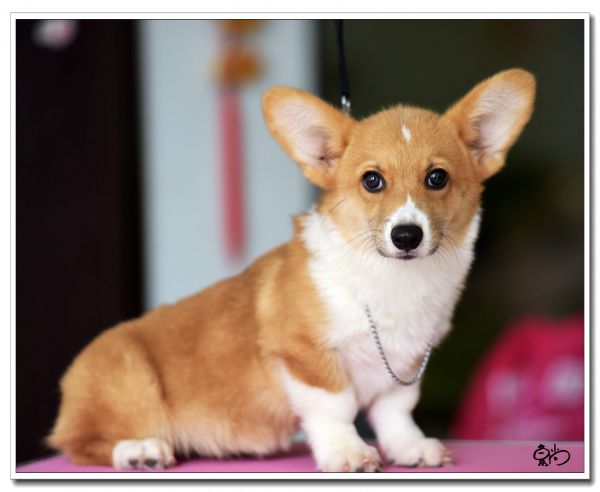 DSC_1249_副本.jpg